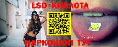 хмурый Сланцы